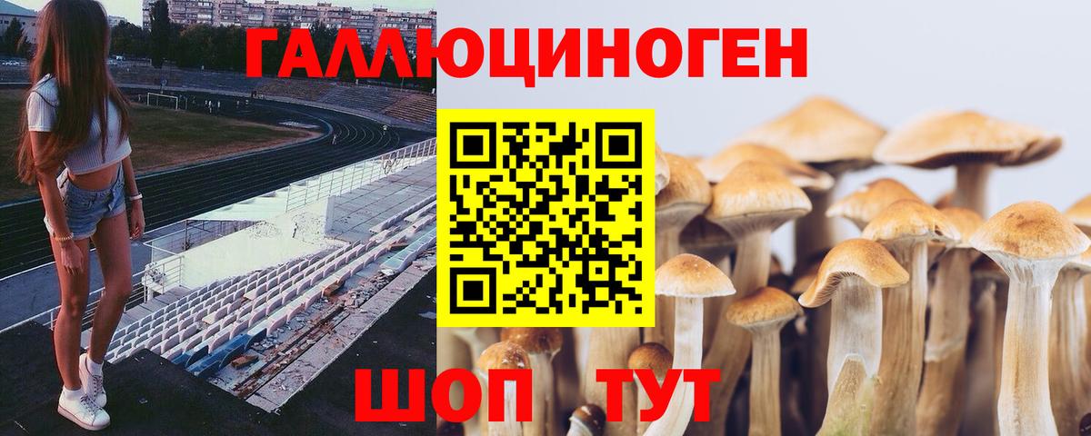 цена   Вход с VPN  Красноярск  Псилоцибиновые грибы Psilocybine cubensis 